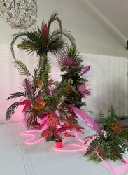 Paski ledowe - różne kolory wypożyczalnia Poznań