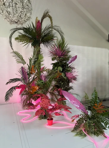 Paski ledowe - różne kolory wypożyczalnia Poznań