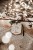 103-IMG_2222_Easy-Resize.com