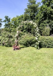 IMG_8541.jpg