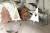 9-IMG_0034.jpg