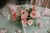 wdobrymkadrze_021_foto_r6_01_203.JPG