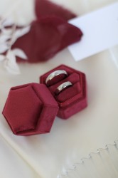 IMG_0384.jpg